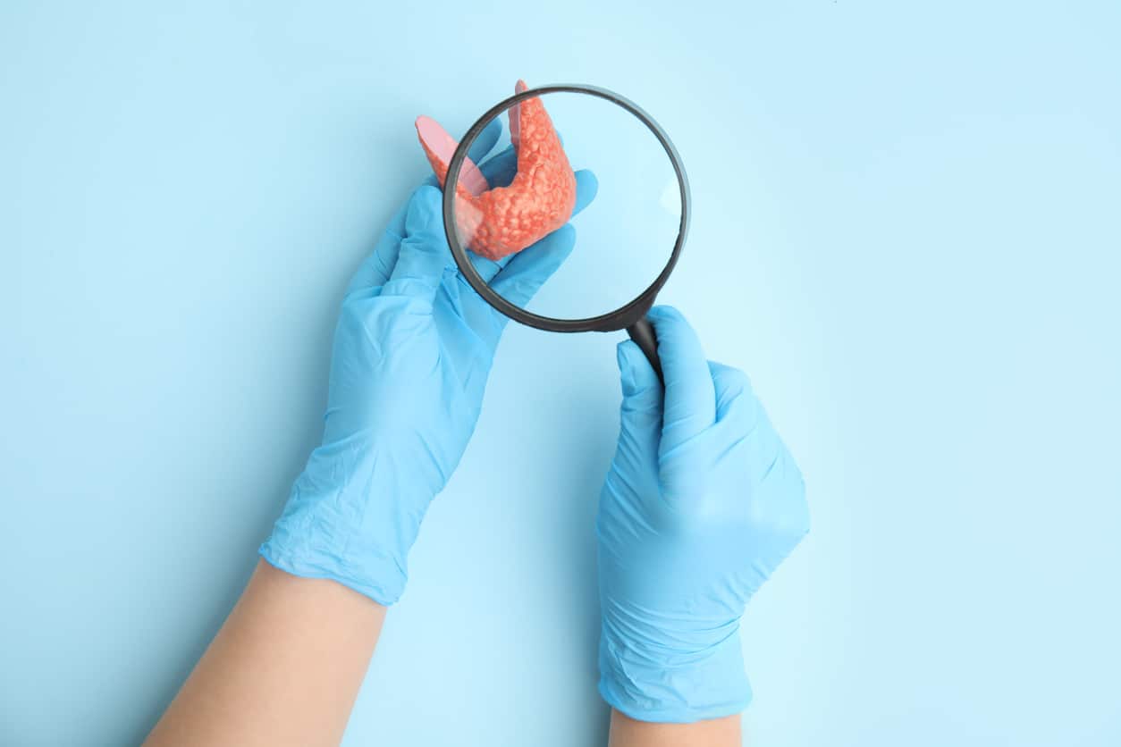 doctor looking through magnifying glass at plastic model of healthy thyroid on light blue background, top view